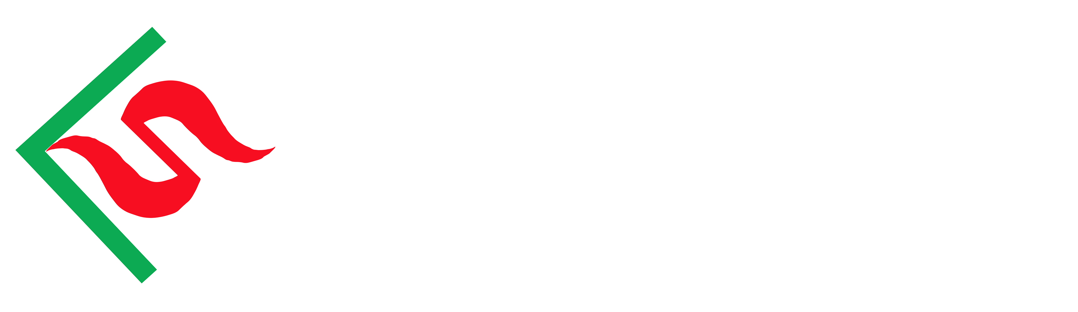 遠大